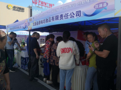 創業雅安 筑夢未來——雅安市成功舉辦第四屆“創業雅安創新集市”旅游咨詢服務