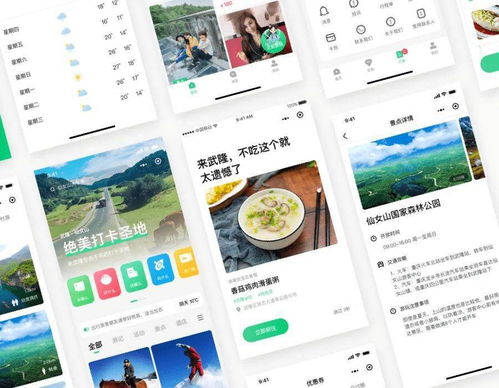 全域旅游新體驗 一部手機游武隆產品設計中的旅游咨詢服務